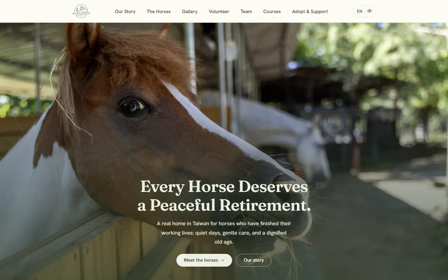 The English homepage of syhorse.com, with a large photo of a brown and white horse leaning over a stable door, the heading “Every Horse Deserves a Peaceful Retirement” and the site’s navigation along the top.