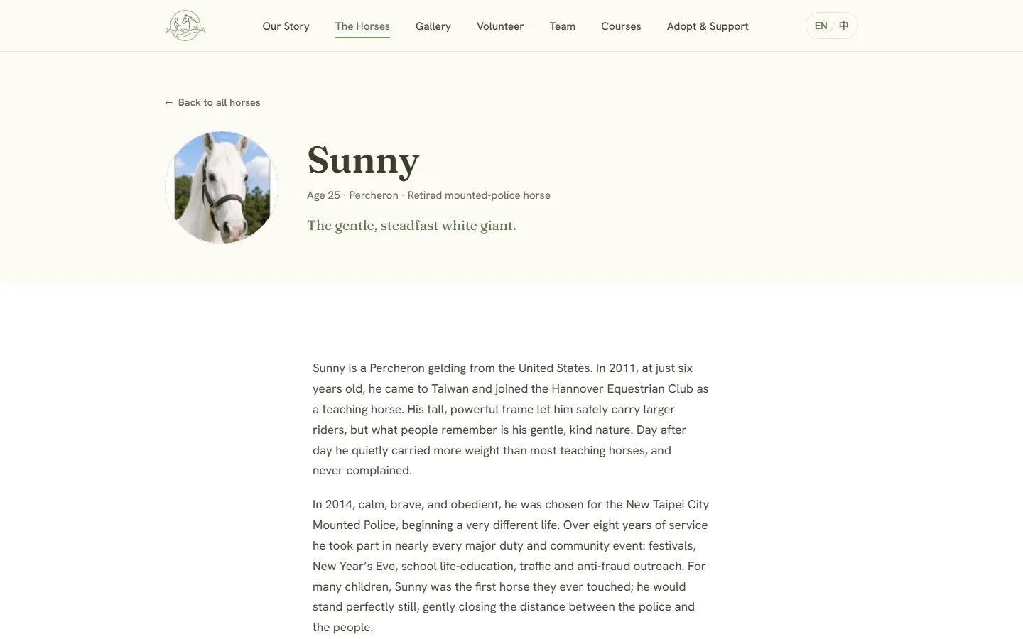 The English page for Sunny, one of the sanctuary’s horses.